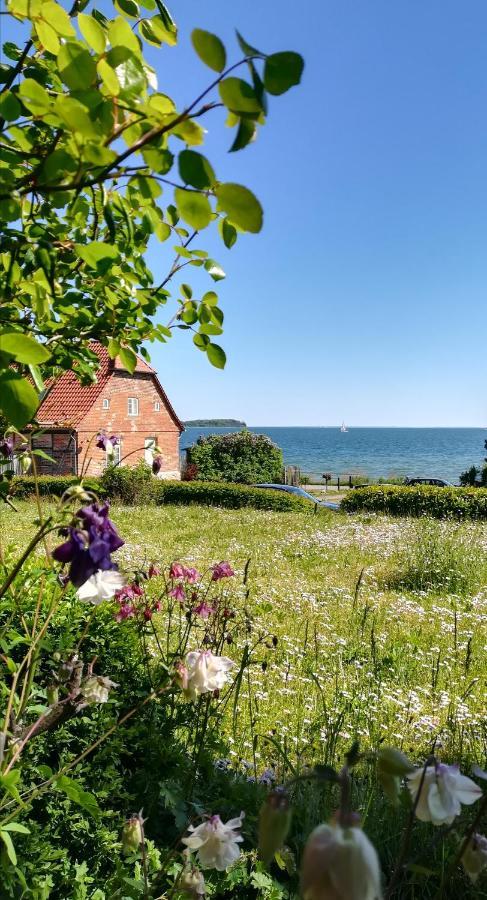 Ich kenne ein Haus am Meer Neuendorf  Exterior foto